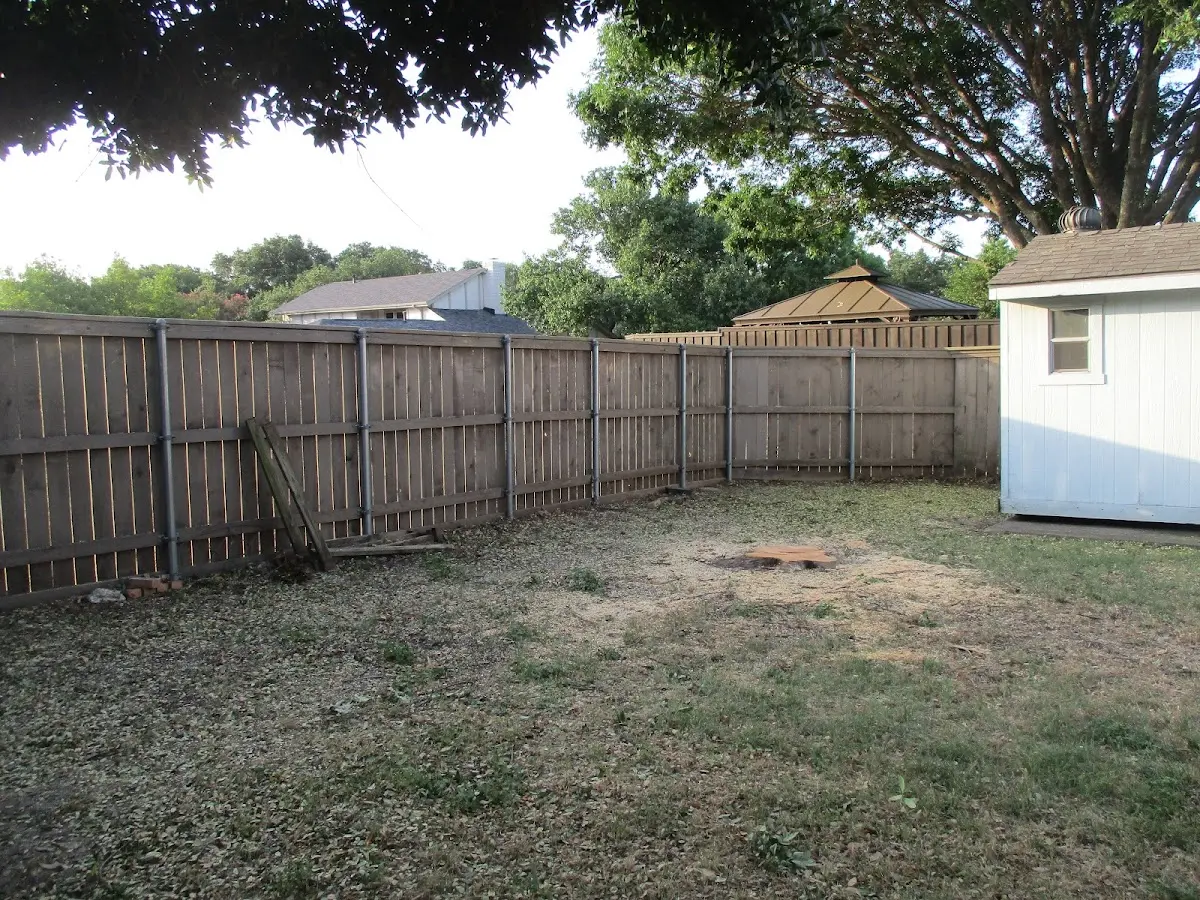 Cleared yard after professional tree removal in Rock Cave